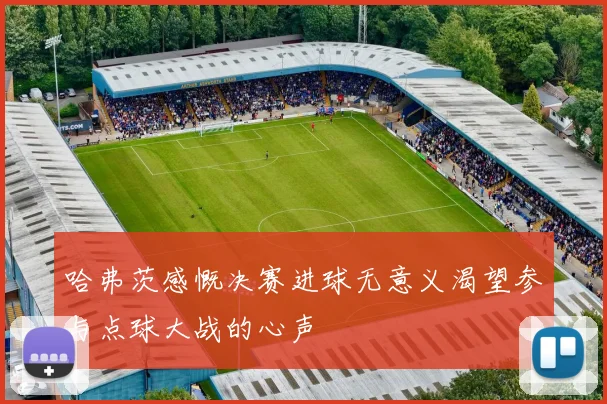 哈弗茨感慨决赛进球无意义渴望参与点球大战的心声